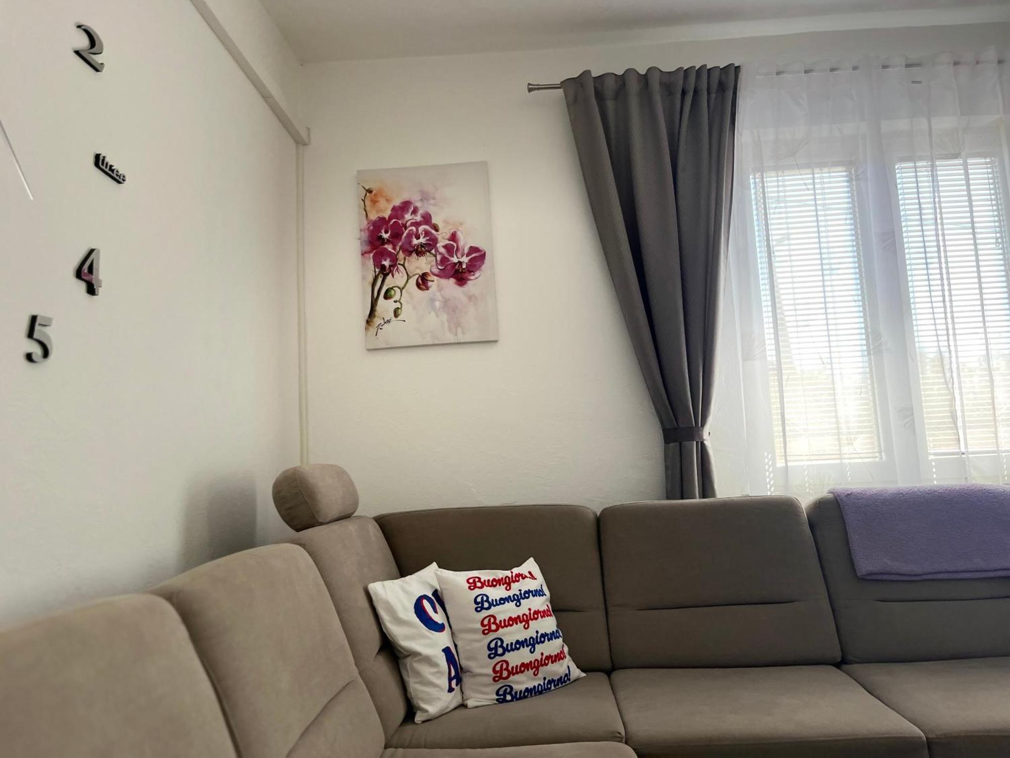 Apartman Marta 扎达尔 外观 照片